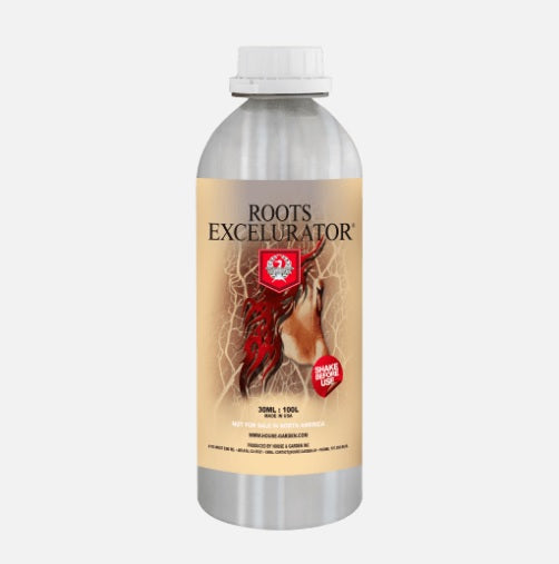 House And Garden Roots Excelurator Silver