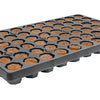 ROOT!T 60 Dry, Peat-Free Cell Filled Tray