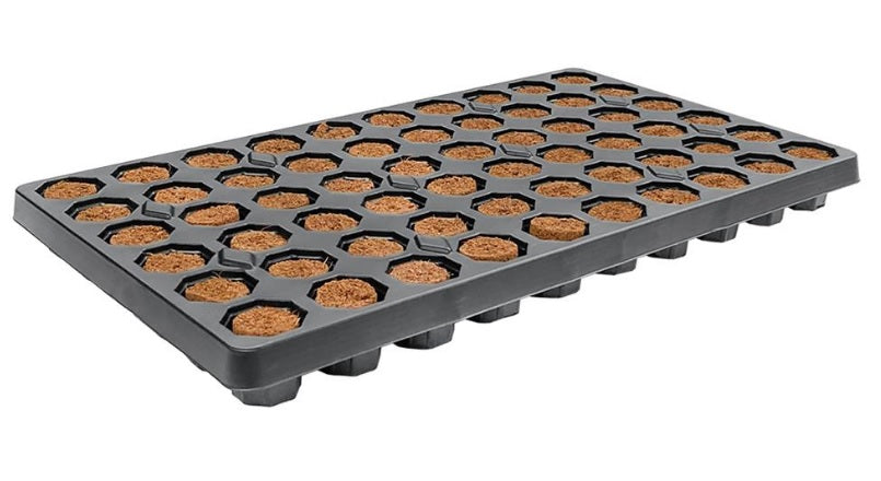 ROOT!T 60 Dry, Peat-Free Cell Filled Tray