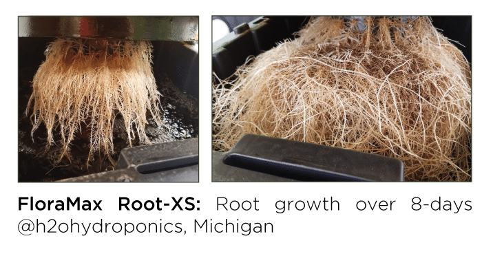 Floramax Root-XS testomonial